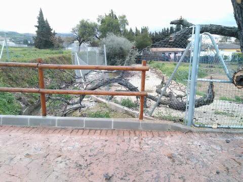 Efectos del vendaval en Cabra el 3 de febrero de 2017.